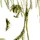 |PPiCj[tFj